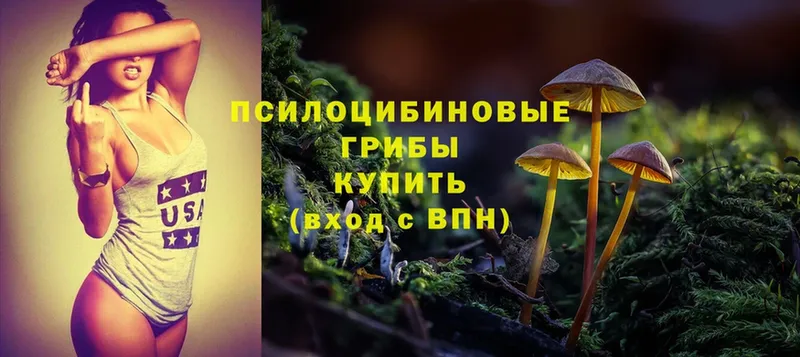 Галлюциногенные грибы Psilocybine cubensis  Байкальск 